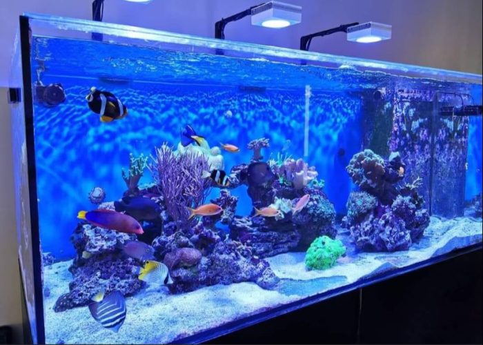 WhatsApp Image 2023-07-03 at 6.05.57 PM